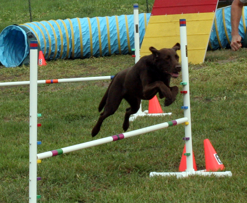 Cocoa Jump