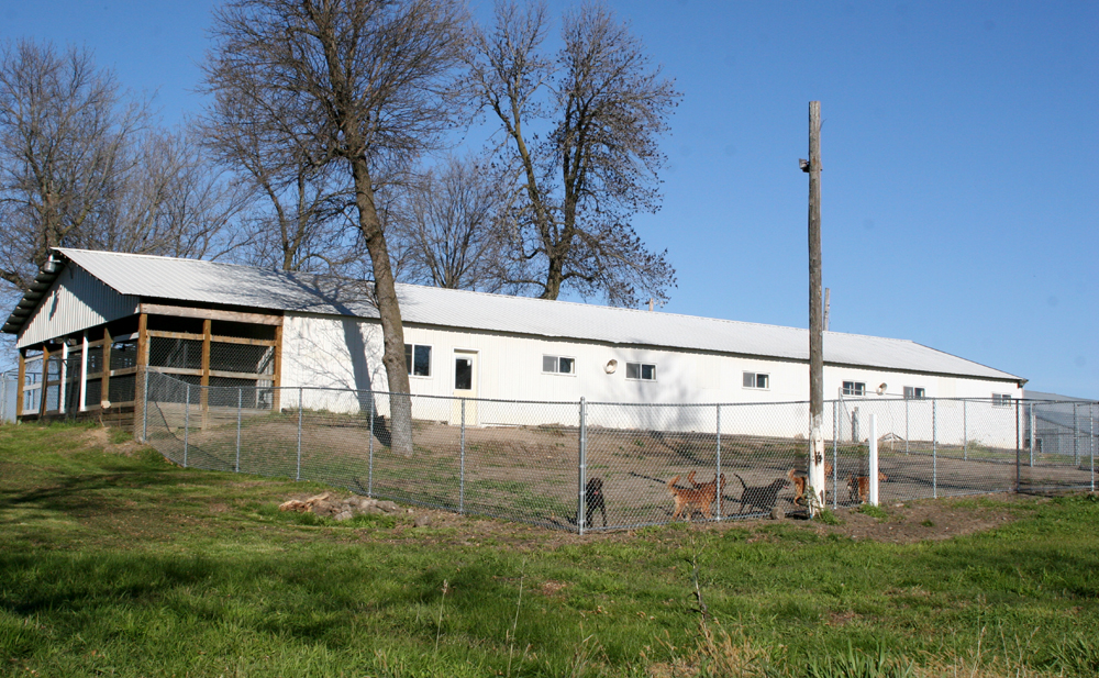 Excercise yard
