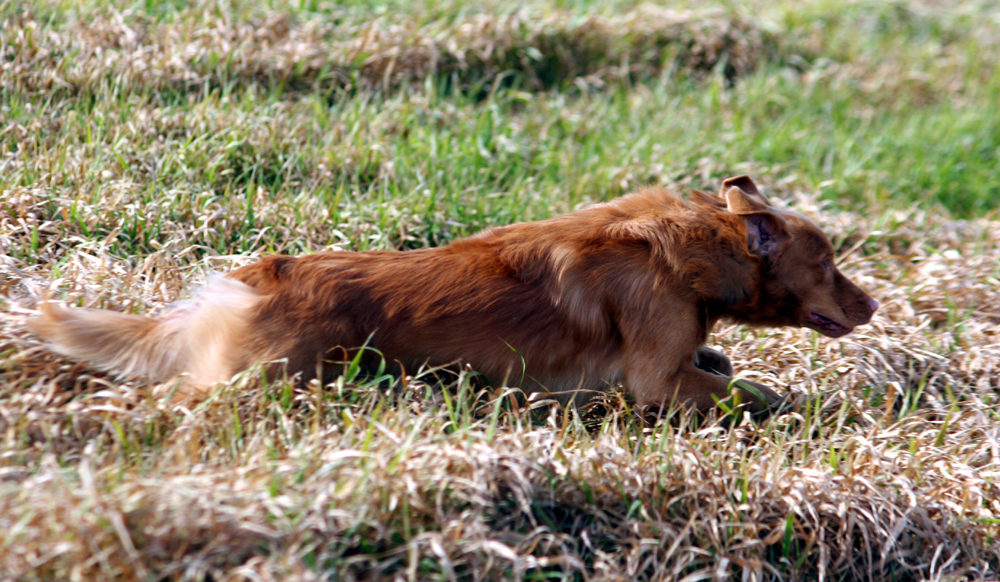 Jack Takes off