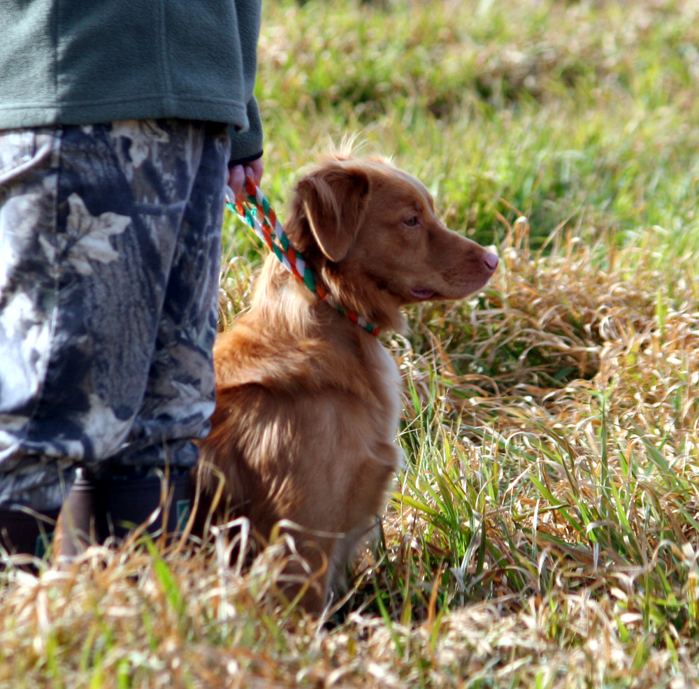Jack Waiting
