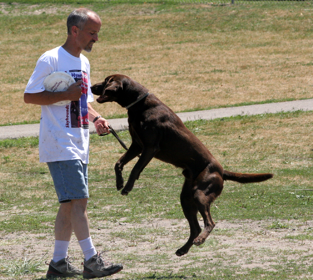 QFrisbee