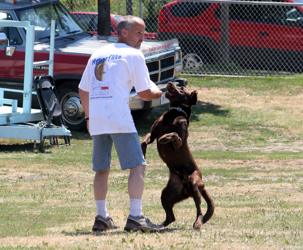 QFrisbee2