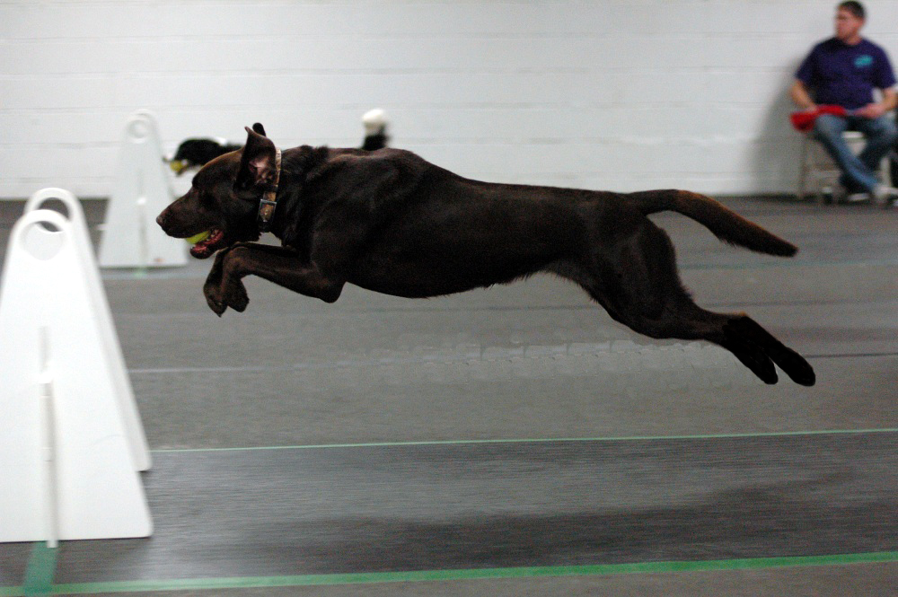 Qjump