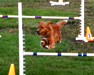 SnapJump2