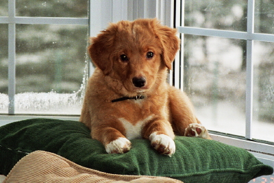 chive2months02