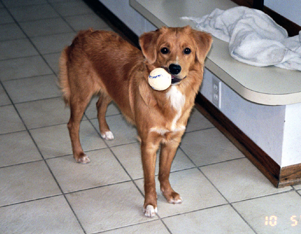 curry9months02
