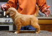 biff3