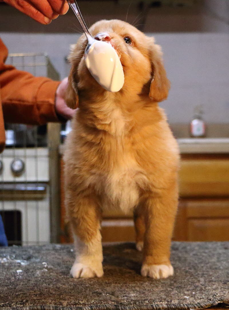 george2