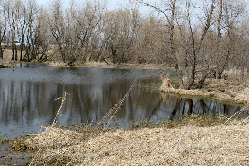 pond2