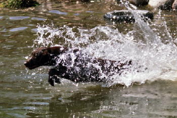 waterentry